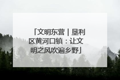 文明东营｜垦利区黄河口镇：让文明之风吹遍乡野